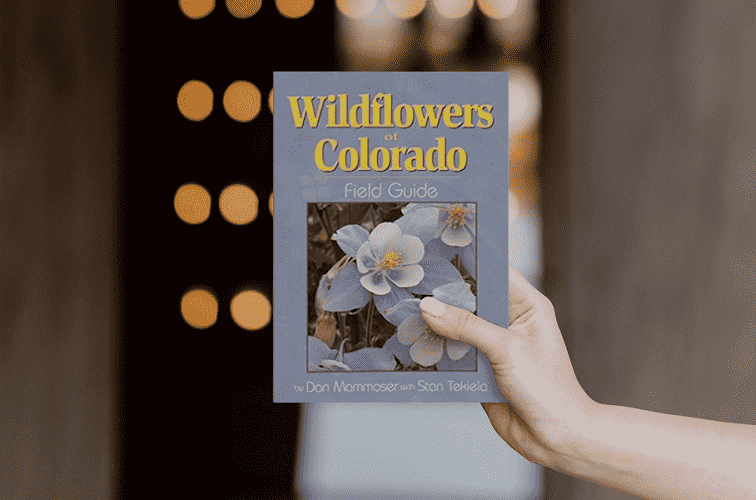 Best colorado wildflower book